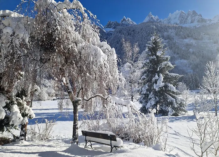 Lejlighed Les Tussilages - Terrasse Vue Mont-blanc Chamonix