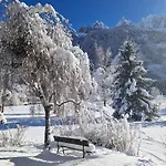 Appartement Les Tussilages - Terrasse Vue Mont-blanc Chamonix