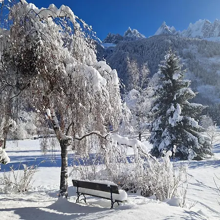 Apartment Les Tussilages - Terrasse Vue Mont-blanc Chamonix